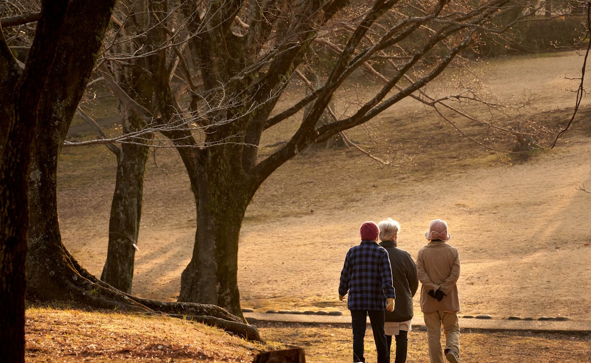 Seniors walking comfortably in a park